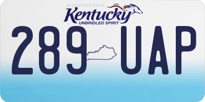 KY license plate 289UAP