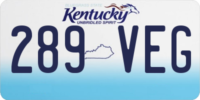 KY license plate 289VEG