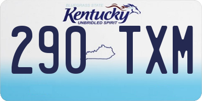 KY license plate 290TXM