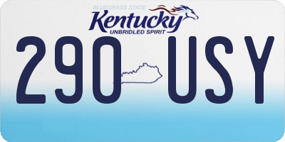 KY license plate 290USY