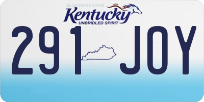 KY license plate 291JOY