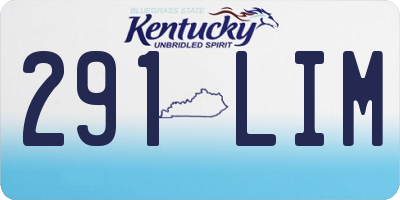 KY license plate 291LIM