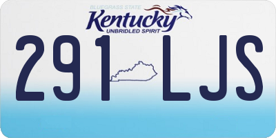 KY license plate 291LJS