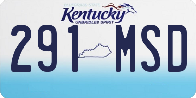 KY license plate 291MSD