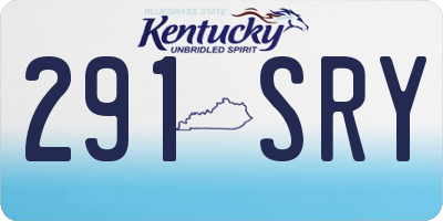 KY license plate 291SRY