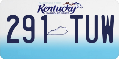 KY license plate 291TUW