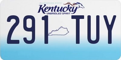 KY license plate 291TUY