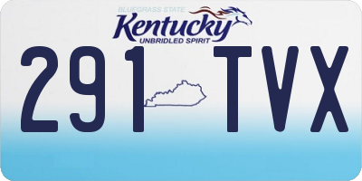 KY license plate 291TVX