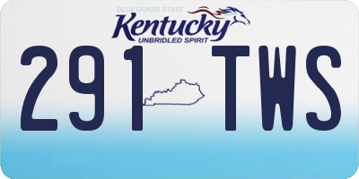 KY license plate 291TWS