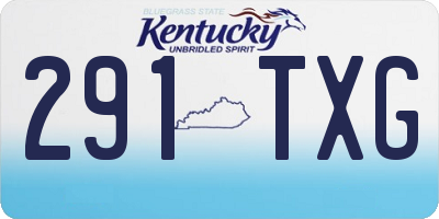 KY license plate 291TXG