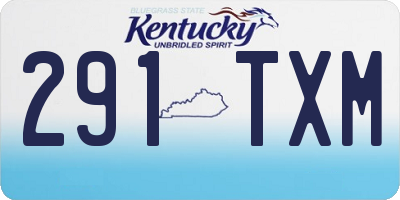 KY license plate 291TXM