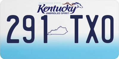 KY license plate 291TXO
