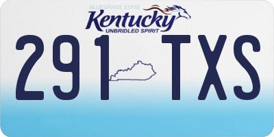 KY license plate 291TXS