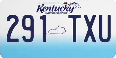 KY license plate 291TXU
