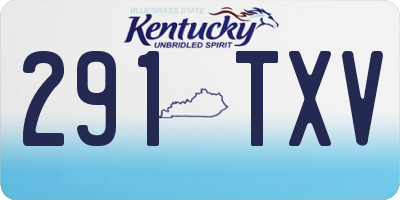 KY license plate 291TXV