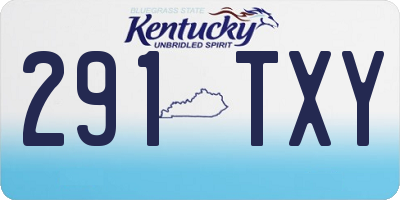 KY license plate 291TXY