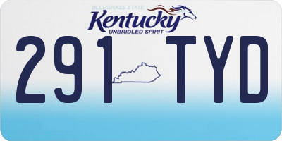 KY license plate 291TYD