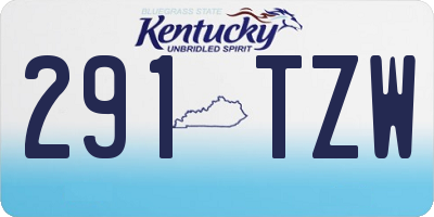 KY license plate 291TZW