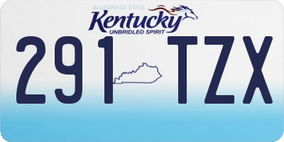 KY license plate 291TZX