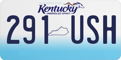 KY license plate 291USH