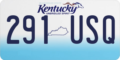 KY license plate 291USQ