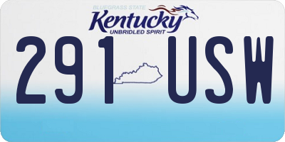 KY license plate 291USW