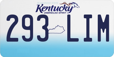 KY license plate 293LIM