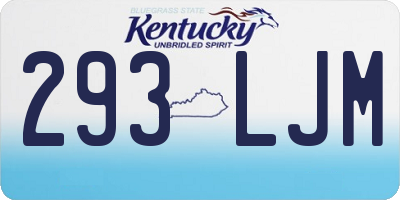 KY license plate 293LJM