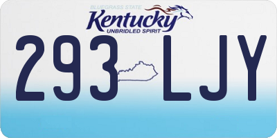 KY license plate 293LJY