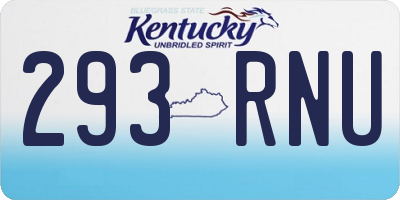 KY license plate 293RNU