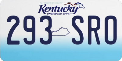 KY license plate 293SRO