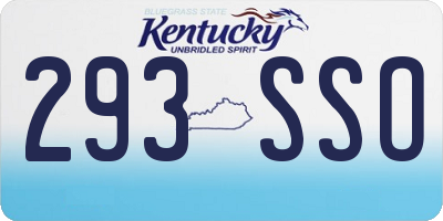 KY license plate 293SSO