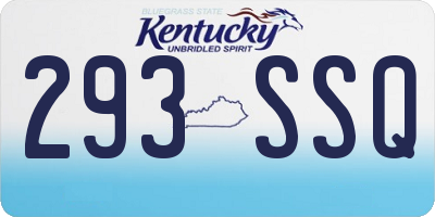 KY license plate 293SSQ