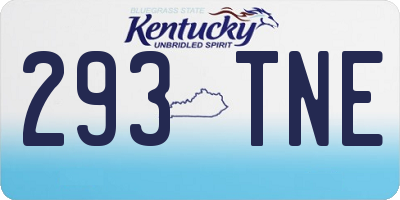 KY license plate 293TNE