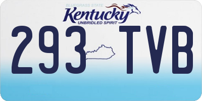 KY license plate 293TVB