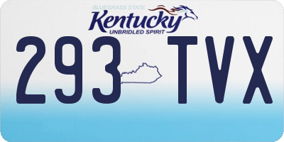 KY license plate 293TVX