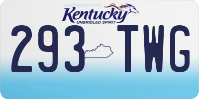 KY license plate 293TWG