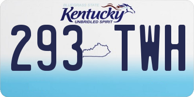 KY license plate 293TWH