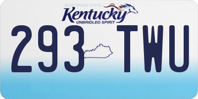 KY license plate 293TWU