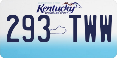 KY license plate 293TWW