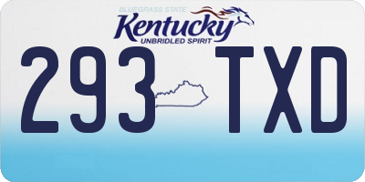 KY license plate 293TXD