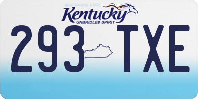 KY license plate 293TXE