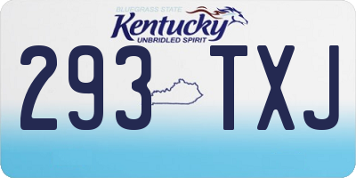 KY license plate 293TXJ