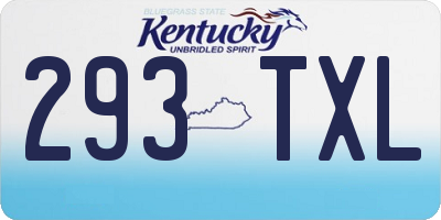 KY license plate 293TXL