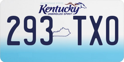 KY license plate 293TXO