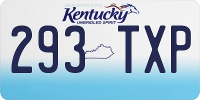 KY license plate 293TXP