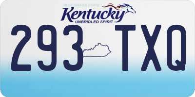KY license plate 293TXQ