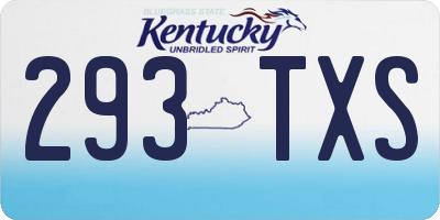 KY license plate 293TXS