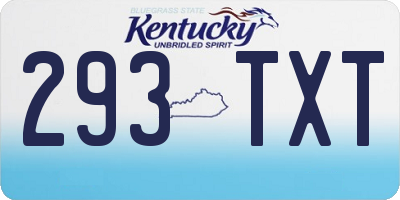KY license plate 293TXT