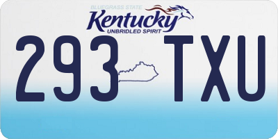 KY license plate 293TXU